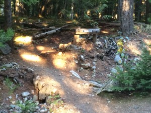 Lost Lake Trail System