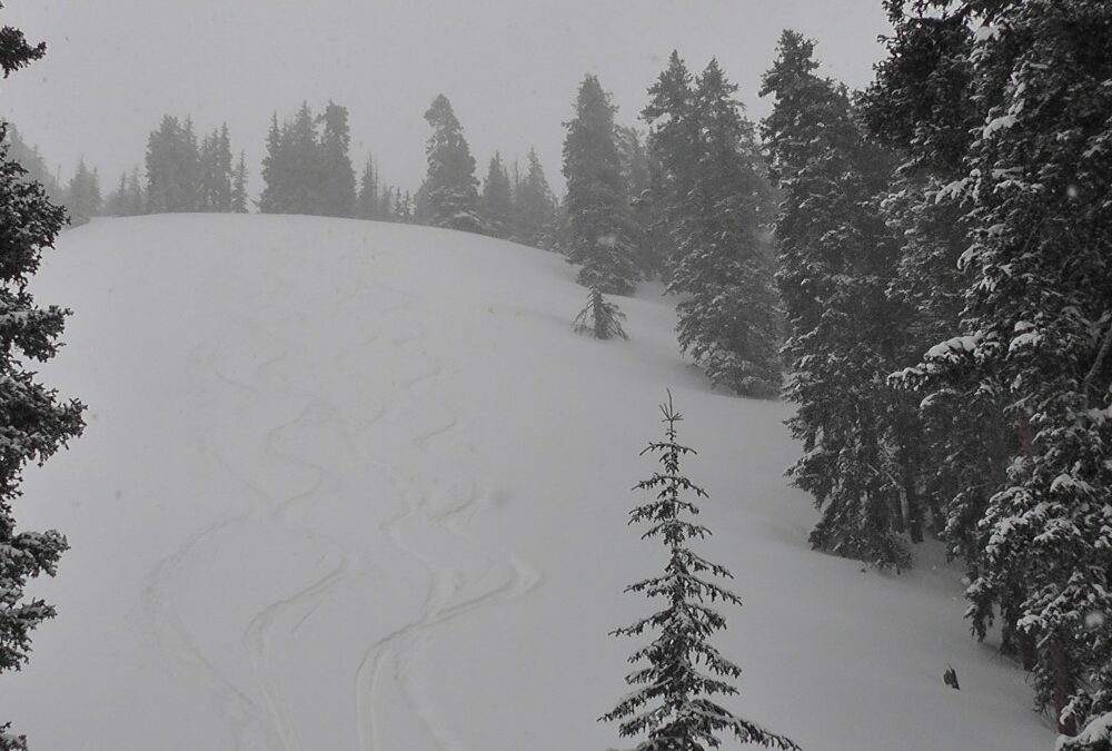Snow Returns to the Wasatch!