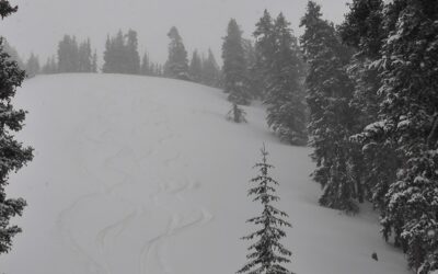 Snow Returns to the Wasatch!