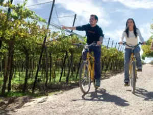 Wine Country Tour-Mendoza & Buenos Aires