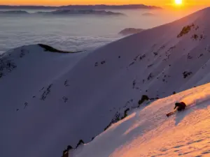 Andes Ski & Wine - Valle Nevado, La Parva, El Colorado, Ski Portillo