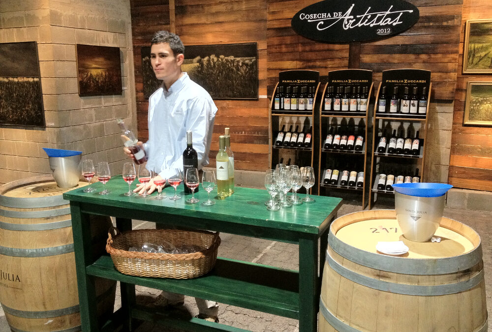 Wine Country Tour: Mendoza & Buenos Aires (8 Days/7 Nights)