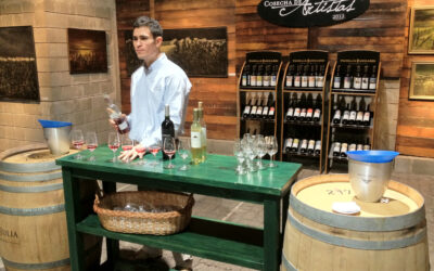 Wine Country Tour: Mendoza & Buenos Aires (8 Days/7 Nights)