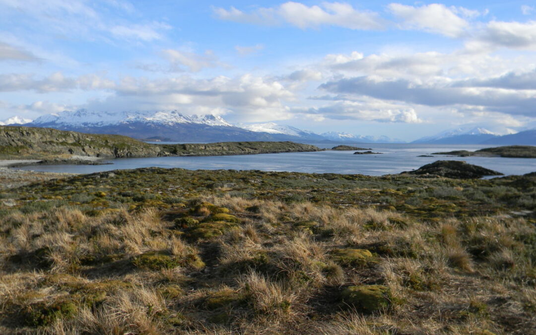 Summer is the Best Time to Visit Patagonia