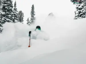 Jackson Hole Mountain Resort Packages