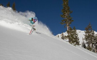 Storm Skiing February 12 at Alta Resort