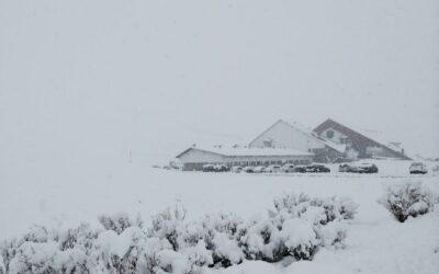 Opening Day Today in Las Lenas