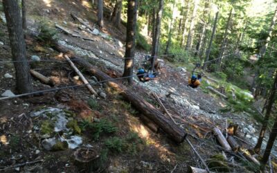 Zip-lining in Whistler, B.C.