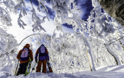 Japow All-Inclusive