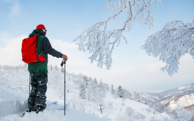 Japan Powder Skiing (JaPow)