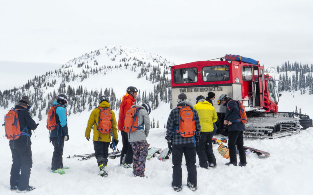 Cat Skiing (for Newbies)