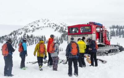 Cat Skiing (for Newbies)