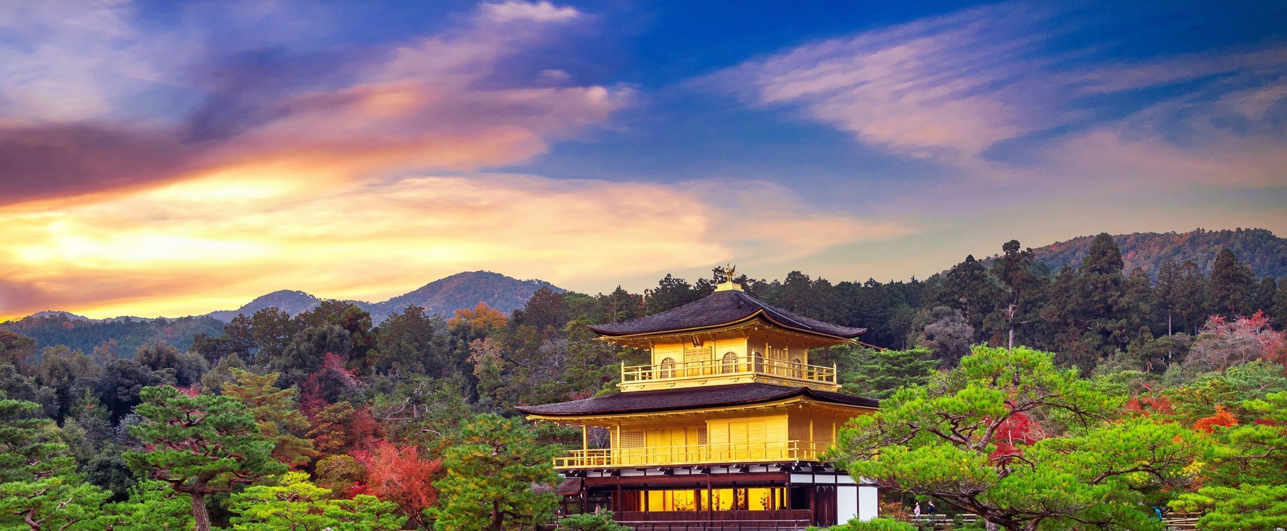 The Golden Pavilion Kinkakuji Temple in Kyoto Japan - Endless Turns