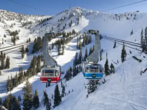 Snowbird Ski and Summer Resort