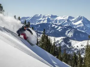 Brighton Resort Packages